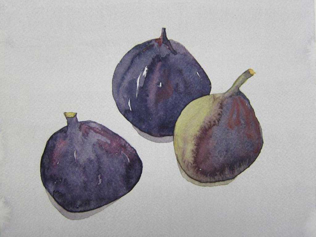 Fruits1.jpg