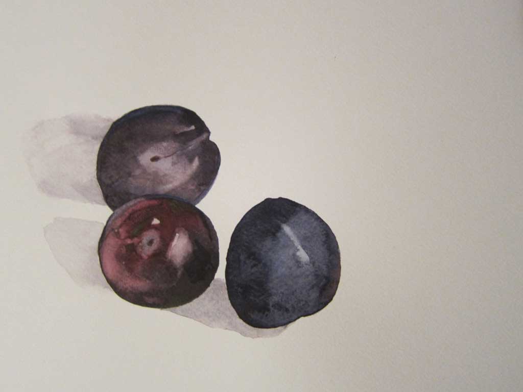 Fruits4.jpg