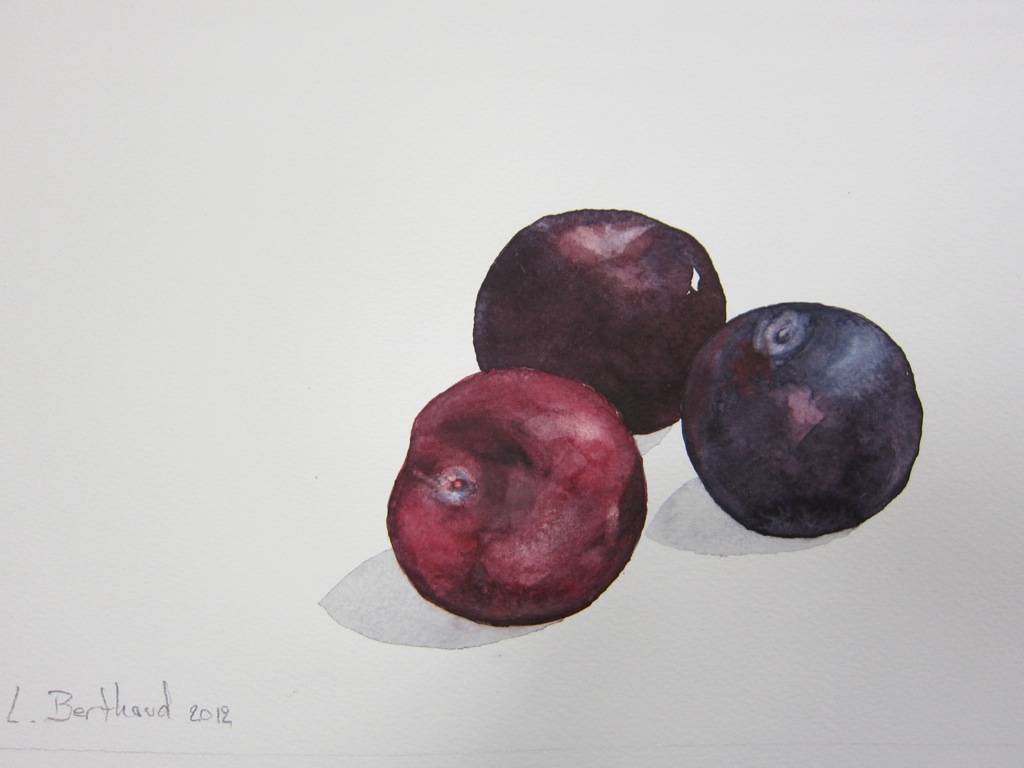 Fruits5.JPG